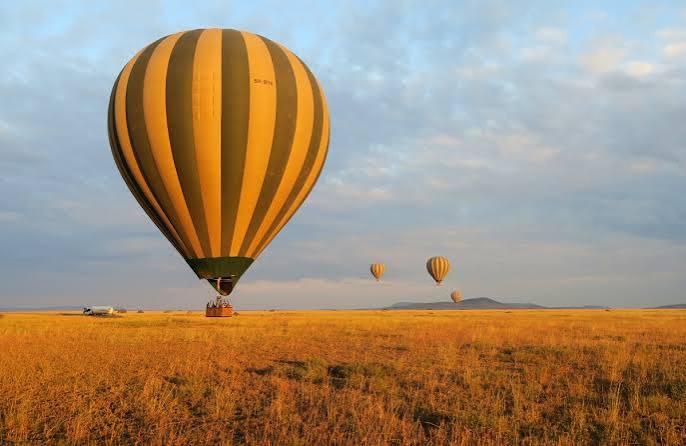 Hot air balloons drifting over the savannah at dawn